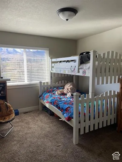 Neutral wall tones, wall-to-wall carpeting, flush-mount ceiling light fixture, and large window with mountain scenery