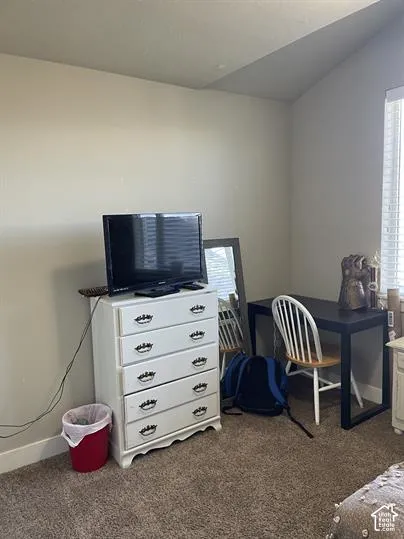 Vaulted ceiling, neutral wall color, wall-to-wall carpeting, and window with white horizontal blinds