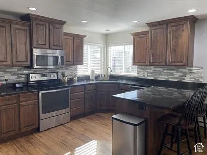 Kitchen featuring dark wood cabinetry, stainless steel appliances, stone-tile backsplash, dark countertops, and wood-finish flooring