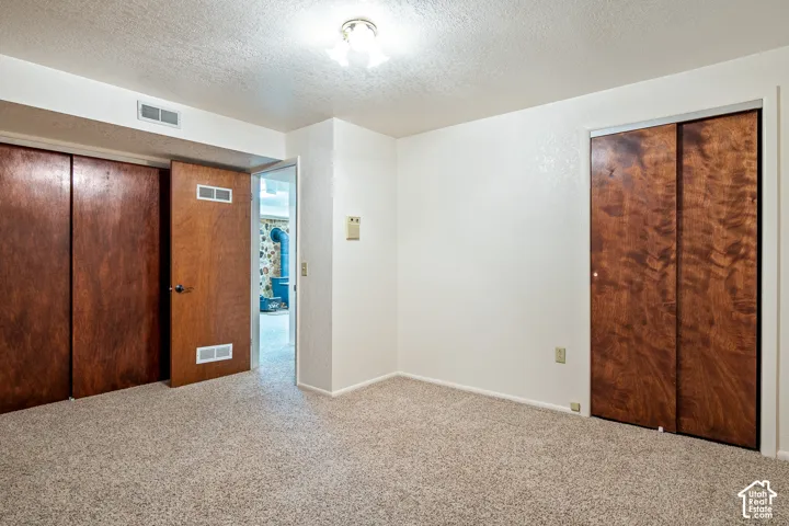 Neutral-toned wall-to-wall carpeting, dual closets featuring wood-veneer sliding doors, solid wood-veneer interior door, and a flush-mount ceiling light fixture