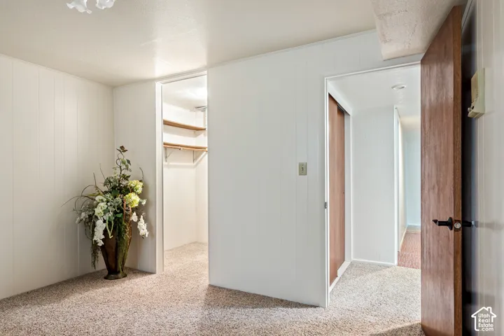 Interior space featuring textured walls, neutral carpeting, a built-in closet with shelving, and solid wood-finish interior doors