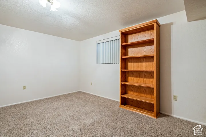 Neutral-tone carpeting, textured ceiling finish, and built-in wood shelving unit