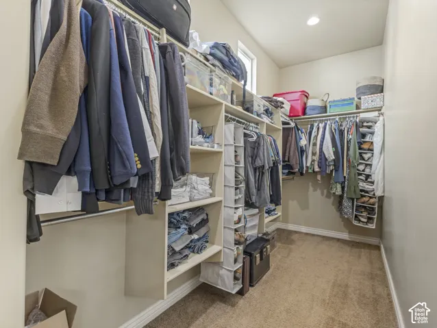 Walk-in closet featuring floor-to-ceiling shelving, multiple hanging rods, carpeted flooring, and a window