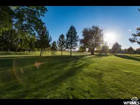 Expansive lawn featuring mature evergreen and deciduous trees