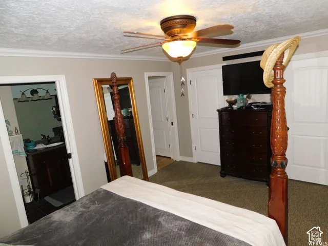 Textured ceiling with crown molding, ceiling fan featuring a glass light fixture, and interior arched-panel doors