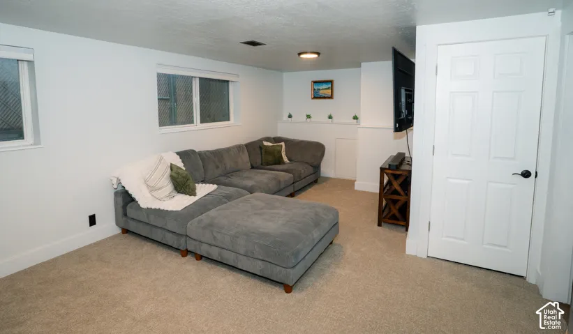 Neutral wall-to-wall carpeting, sliding windows, and a six-panel door with matte black hardware