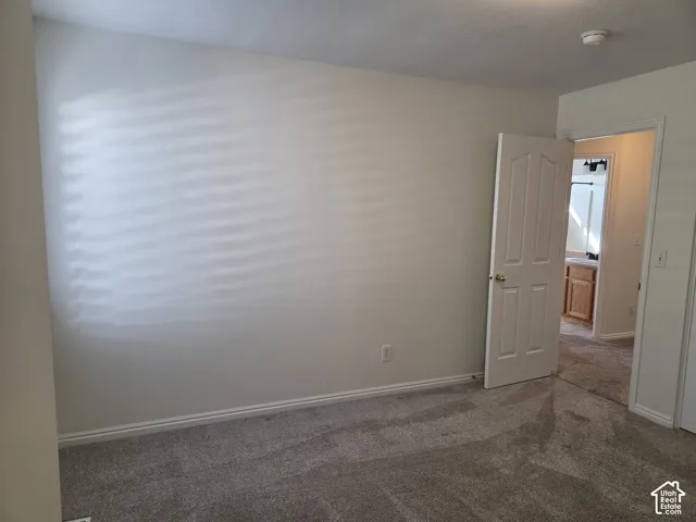 Neutral wall-toned room featuring neutral carpeting, a white four-panel interior door, and a doorway leading to a vanity area with wooden cabinetry