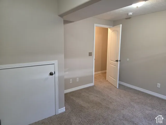 Neutral interior featuring carpeted flooring, a paneled door, and built-in under-stair storage