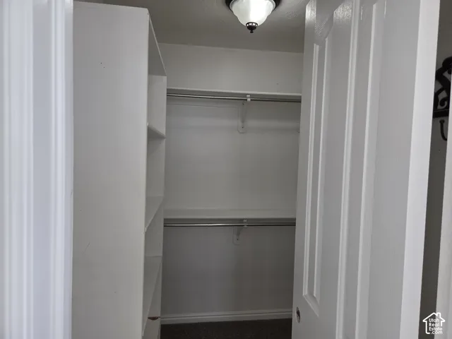 Walk-in closet featuring built-in vertical shelving, dual-level metal hanging rods, overhead dome lighting, and carpeted flooring