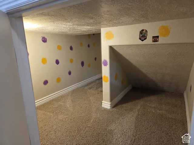 Enclosed storage space featuring low-profile ceilings, neutral carpeting, and textured wall surfaces