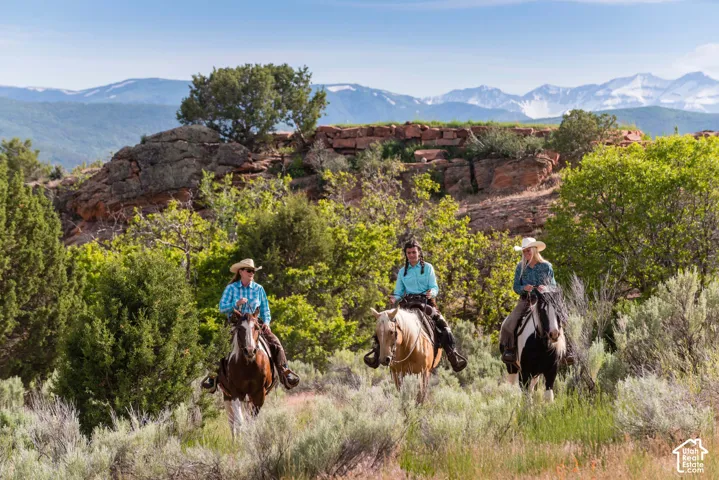 Expansive property featuring rugged rock formations, native vegetation, and a backdrop of snow-capped mountains