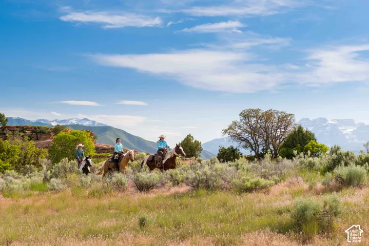Expansive acreage featuring native high-desert vegetation, mature trees, and prominent mountain backdrops