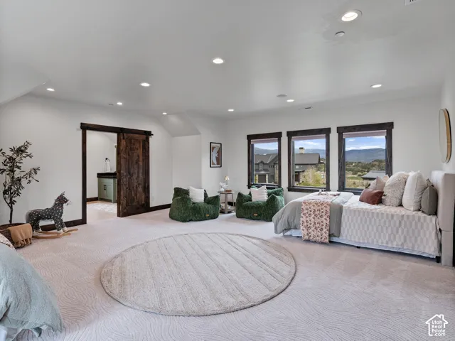 Spacious room featuring neutral carpeting, recessed lighting, expansive windows with dark trim, and a rustic wood sliding barn door