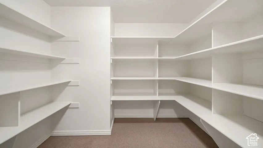 Walk-in storage space featuring wrap-around white shelving and neutral carpeting