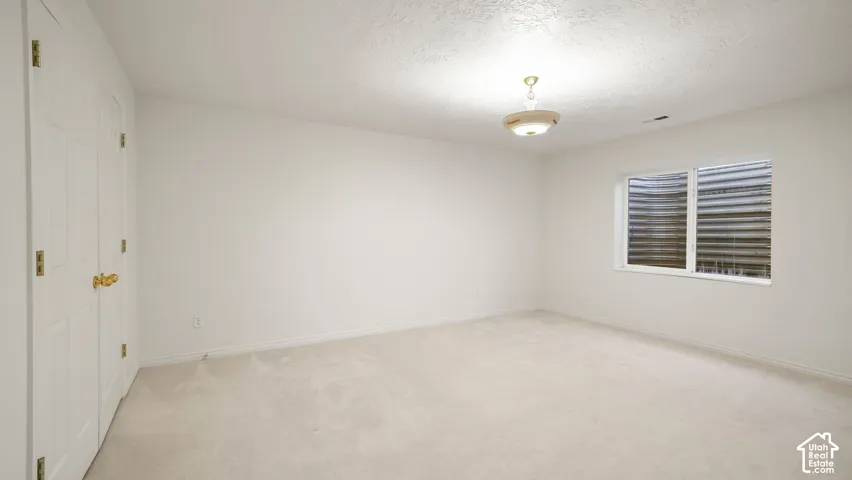 Neutral-toned carpeting, white walls, dual-panel closet doors with brass hardware, and a semi-flush mount ceiling light fixture