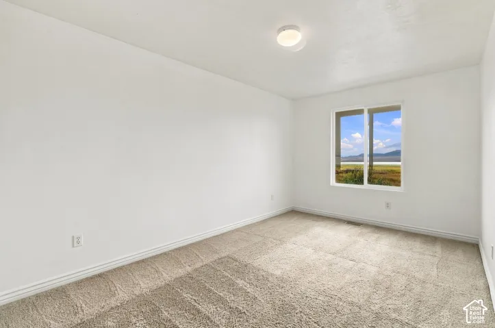 Neutral-toned wall finish, wall-to-wall carpeting, single-pane window with mountain and landscape scenery, and a ceiling-mounted light fixture