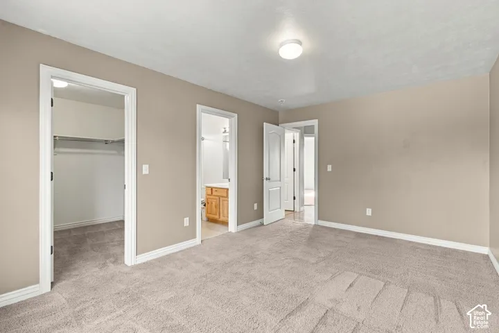 Neutral-toned interior room featuring wall-to-wall carpeting, three interior door frames, a walk-in closet with built-in shelving, and a ceiling-mounted light fixture