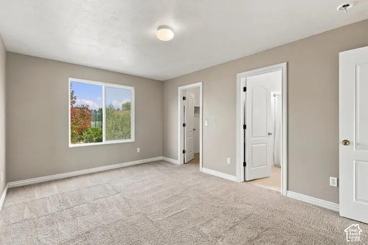 Neutral-toned interior space featuring neutral carpeting, a sliding window with exterior foliage, two paneled interior doors, and a flush-mount ceiling light fixture