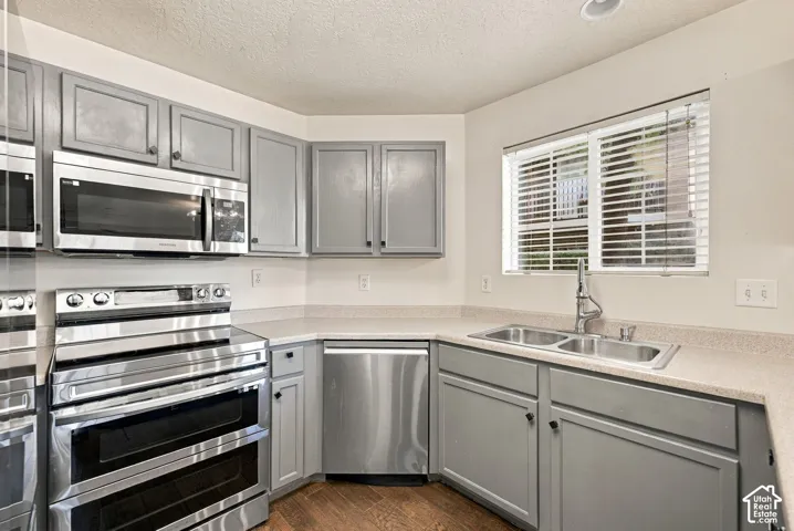 Kitchen featuring grey shaker-style cabinetry, stainless steel appliances, neutral solid-surface countertops, dual-basin stainless steel sink with high-arc faucet, and wood-finish flooring
