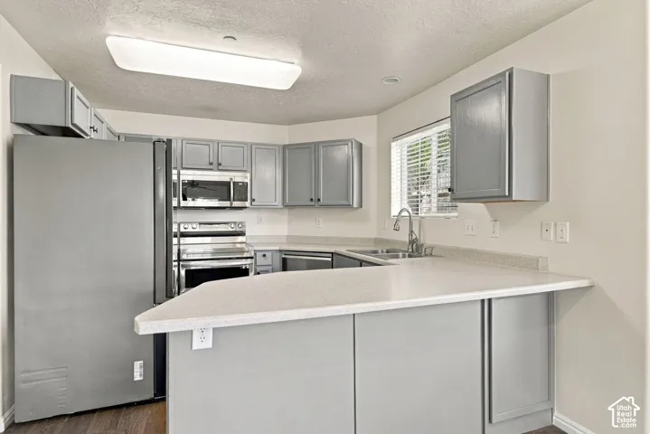 Kitchen featuring grey cabinetry, stainless steel appliances, neutral countertops, a peninsula, and double-basin stainless steel sink