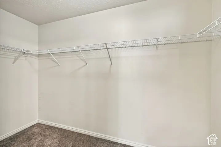 Walk-in closet featuring neutral wall finishes, grey carpeting, and white wire shelving