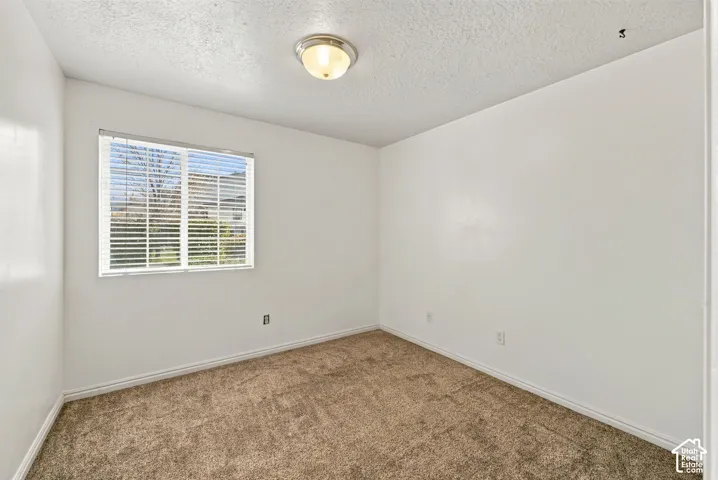 Neutral-toned wall-to-wall carpeting, window with horizontal blinds, and a flush-mount ceiling light fixture
