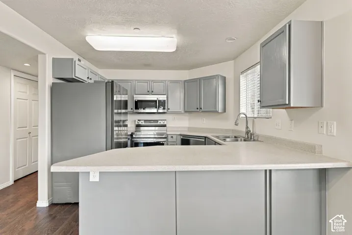 Kitchen featuring grey cabinetry, stainless steel appliances, a composite countertop, and wood-finish flooring