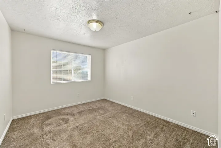 Room featuring neutral wall tones, textured ceiling, carpeted flooring, and a flush-mount light fixture