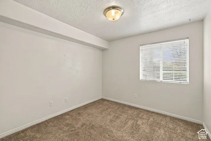 Neutral-toned room featuring neutral carpeting, a dual-mount flush light fixture, and a window with horizontal blinds