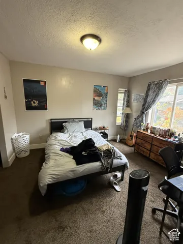 Neutral-toned interior featuring wall-to-wall carpeting, dual-pane window configuration, and a flush-mount ceiling light fixture