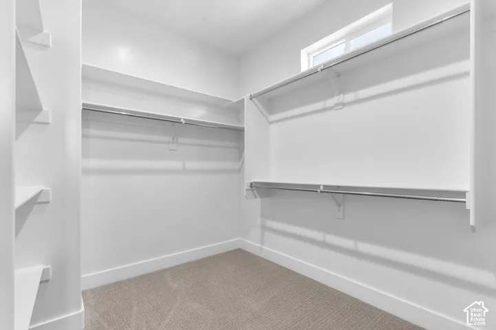 Walk-in closet featuring tiered built-in shelving, integrated hanging rods, wall-to-wall carpeting, and a window for natural light