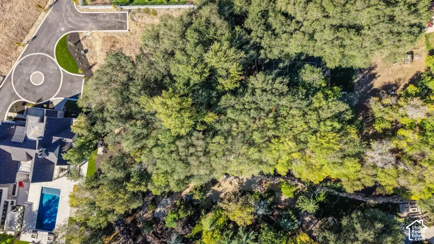 Spacious lot featuring a substantial tree canopy, private swimming pool, and paver driveway with decorative inlay