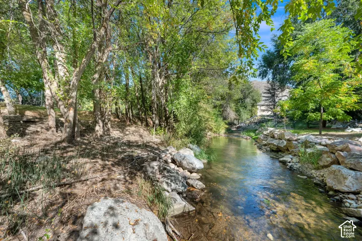 Natural water feature with a rocky bank and mature trees