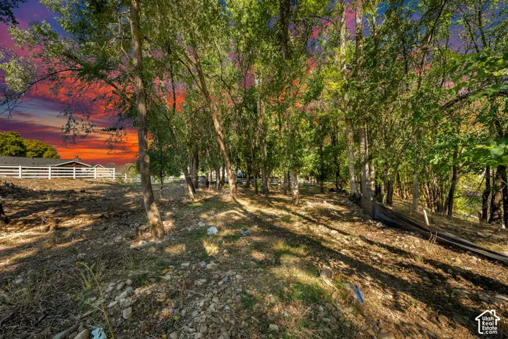 Mature trees providing natural shade