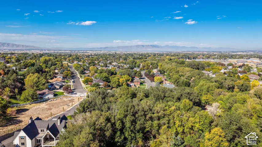 Expansive suburban setting with mature trees and a residential street