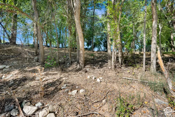 Naturally wooded grounds featuring mature trees and exposed earth
