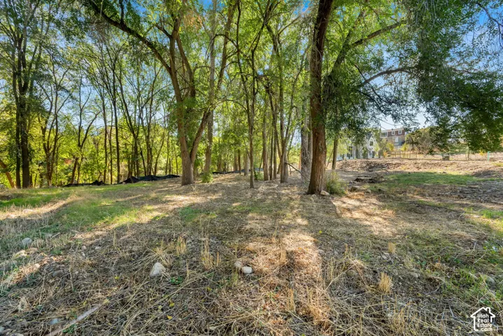 Mature trees providing natural shade