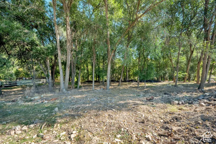 Wooded property with mature trees and natural ground cover