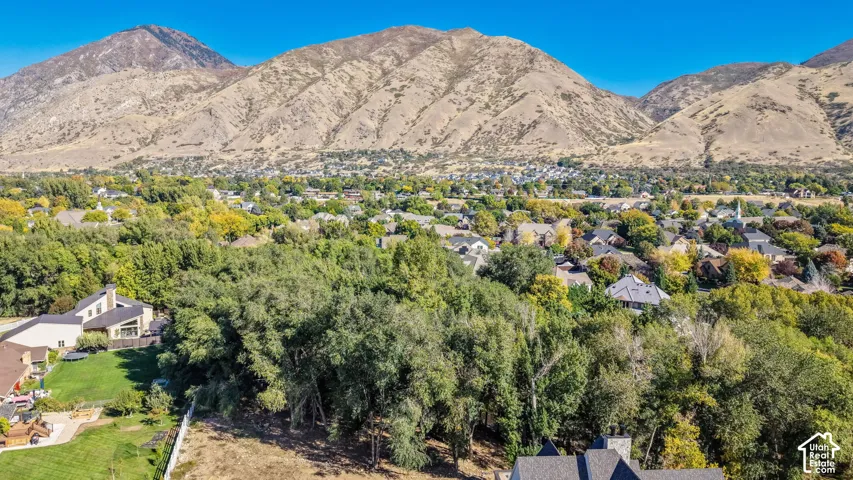 Expansive mountain scenery with established residential areas among mature trees