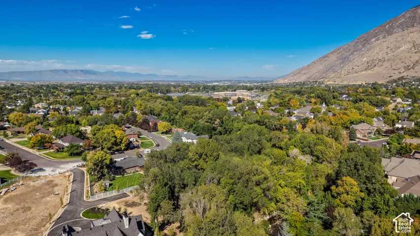 Expansive mountain backdrop with a tree-lined residential area and varied rooflines