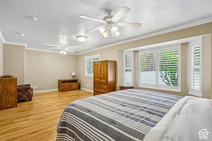 Wood-finish flooring, bay window featuring plantation shutters, and dual ceiling fans with integrated light fixtures