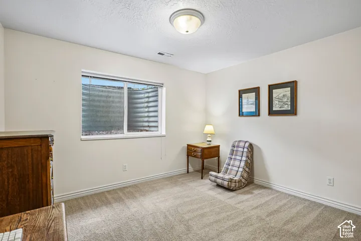 Neutral-toned carpeting, window with corrugated metal window well, and flush-mount ceiling lighting