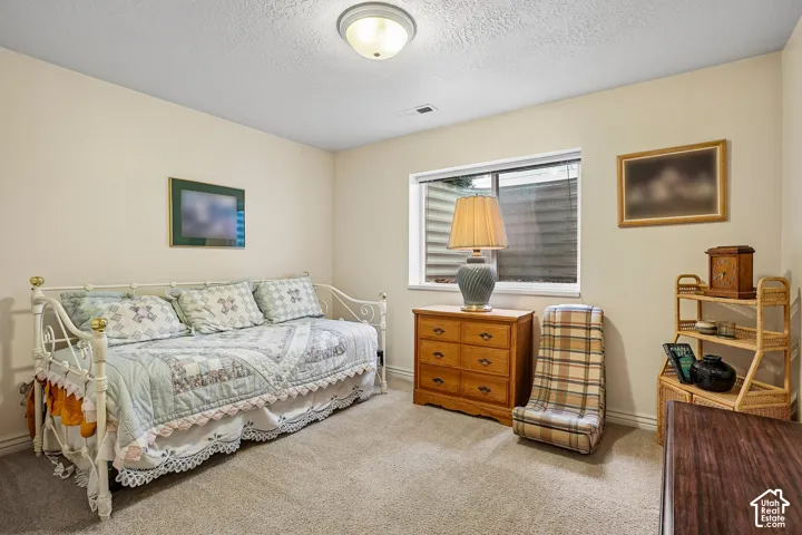 Neutral interior space featuring wall-to-wall carpeting, an egress-style window with a metal window well, and a central dome-style ceiling light fixture
