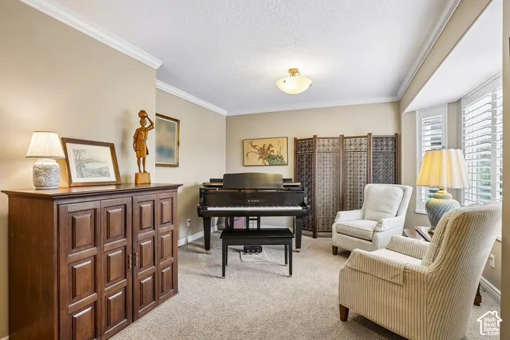 Living area featuring crown molding, neutral wall color, carpeted flooring, a bay window with plantation shutters, and a central ceiling-mounted light fixture