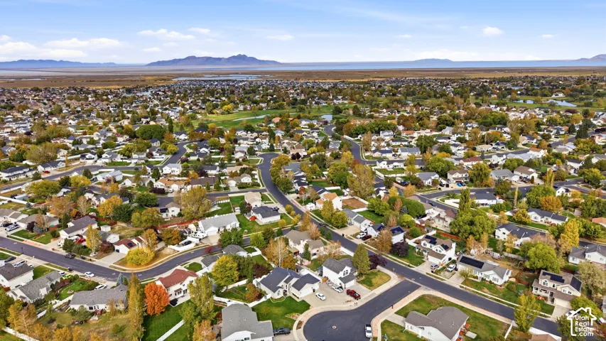 Aerial perspective of a residential neighborhood featuring paved streets, established deciduous trees, multi-roofline architectural styles, and distant mountain backdrops