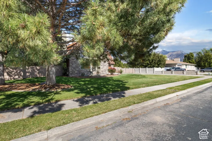 Exterior featuring stone masonry siding, mature evergreen trees, expansive lawn, concrete perimeter fencing, and mountain backdrop