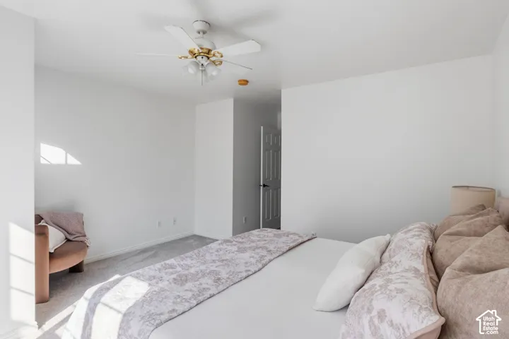 Neutral wall coloring, ceiling-mounted paddle fan with integrated lighting, and wall-to-wall carpeting