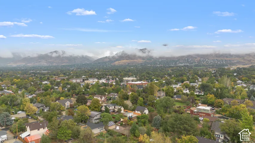 Aerial perspective featuring dense mature canopy, residential infrastructure, and mountain backdrop
