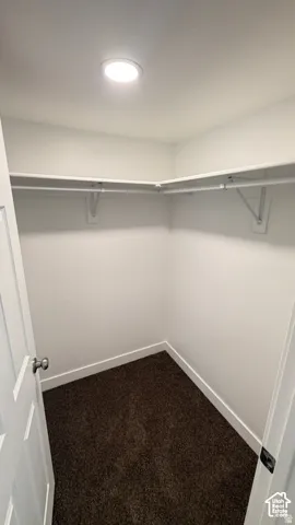 Walk-in storage space featuring carpeted flooring, integrated shelving, and recessed lighting