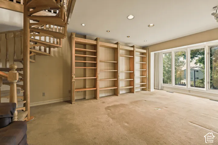 Custom book shelves.